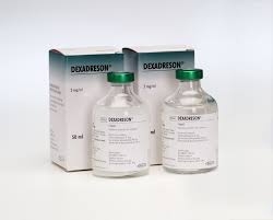 dmg injection for horses