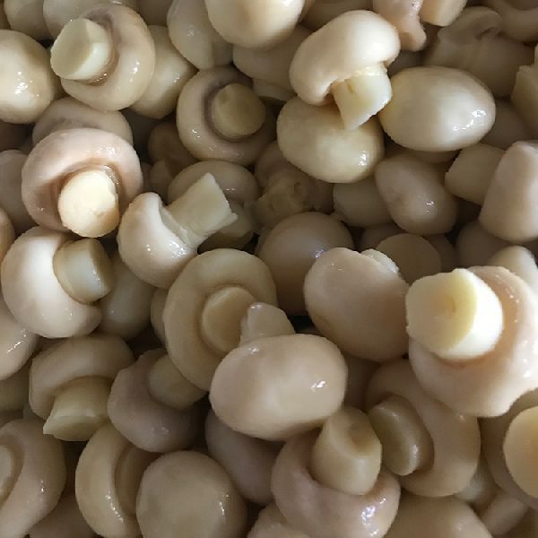 Supplier of Mushroom from Odessa, Ukraine by Goldsun Limited