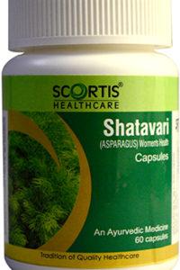 Shatavari Capsules, Grade Standard : Medicine Grade