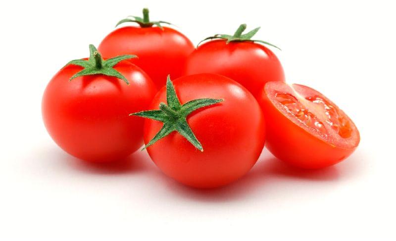 fresh tomato