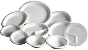 Foam Plates
