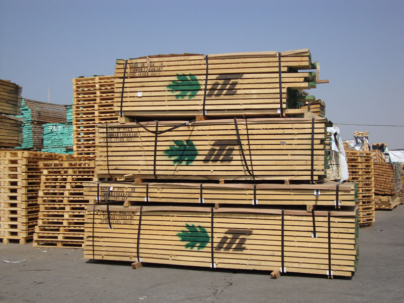 Supplier of Wood and Lumber from sharjah, United Arab Emirates by Timber Market FZC