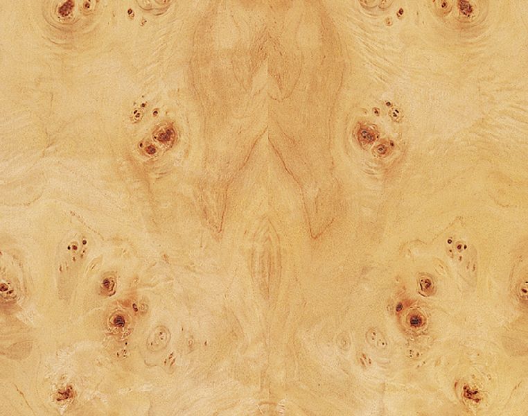 Mapa Burl