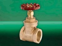 Gate Valve Bronze