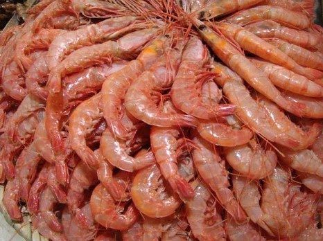 Fresh Frozen RED Shrimp And Seafood