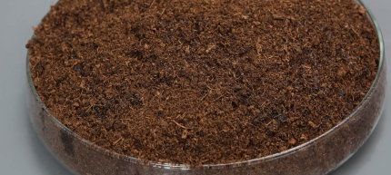 Peat Moss
