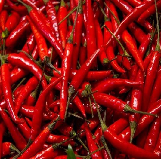 Red Chili/ Dried/Flakes/Crushed/Powder