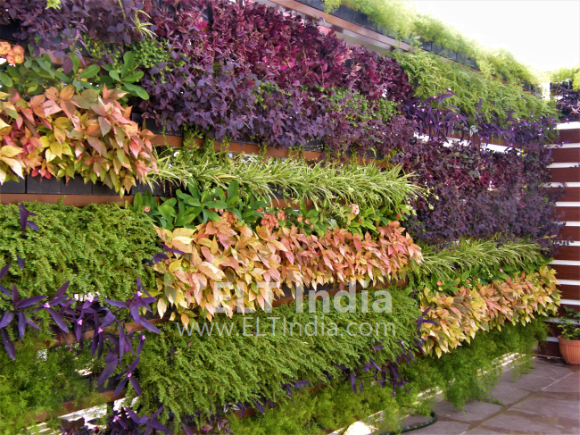 vertical garden Manufacturer in Maharashtra India by Ecogreen Landscape