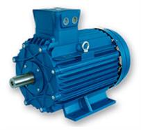 Three Phase AC Flame Proof Motors