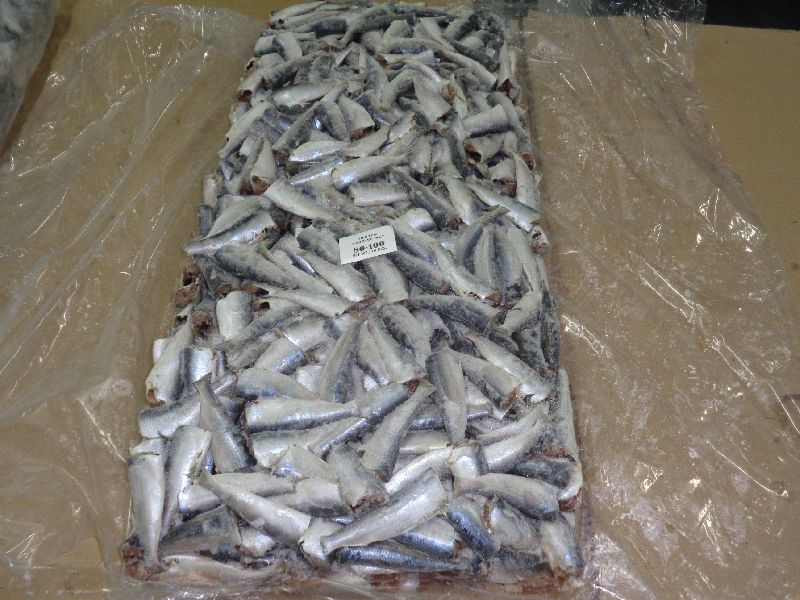 hgt frozen sardine