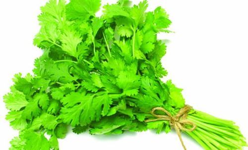 Coriander leaves, Color : Green