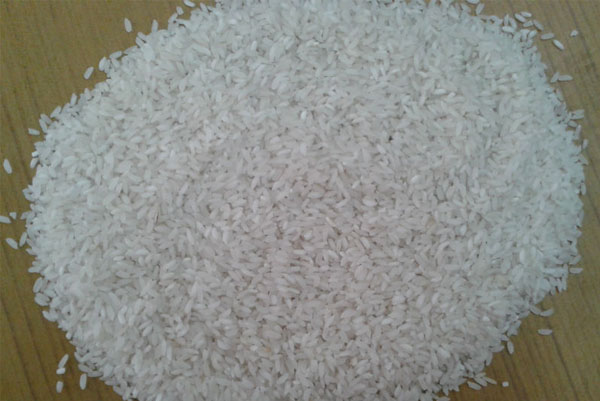 Hard Short Grain Rice, Color : White