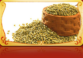 Coriander seeds