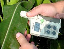 Chlorophyll Meter