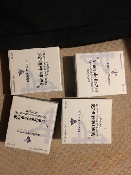 Alpha Pharma Steroids Bulk at Rs 1900 in Mumbai - ID: 4207273 ...