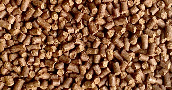 chicken-manure-pellets-manufacturer-in-tamil-nadu-india-by-jaisa