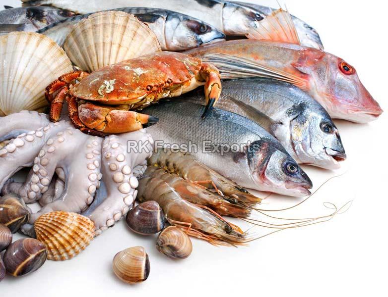 Frozen Seafood Manufacturer in Gurgaon Haryana India by RK Fresh