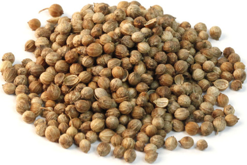 Coriander Seed, Color : Brown