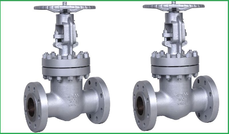 Stainless Steel Gate Valves