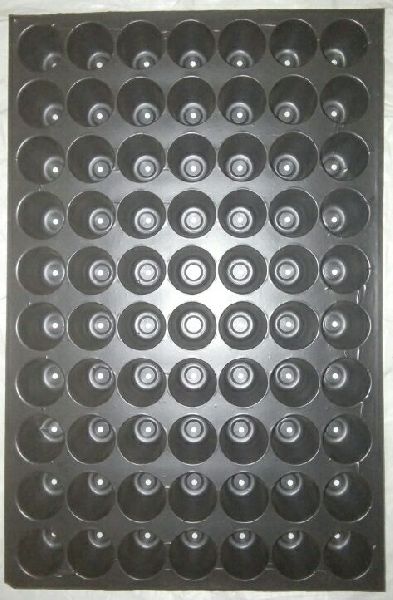 Hips Black good Plastic 70 Cavity Tray, for Agriculture use, Feature : Growing vegitables plants