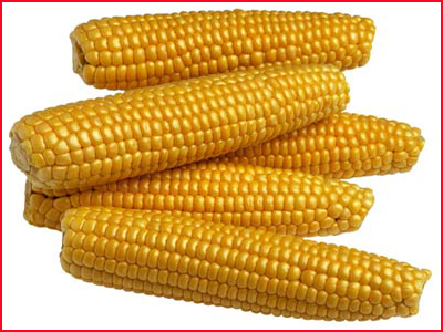 Corn