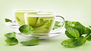 Green Tea, for Restaurant, Hotel, Home
