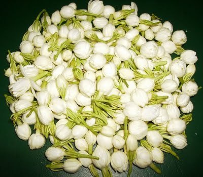 Madurai Jasmine Flower