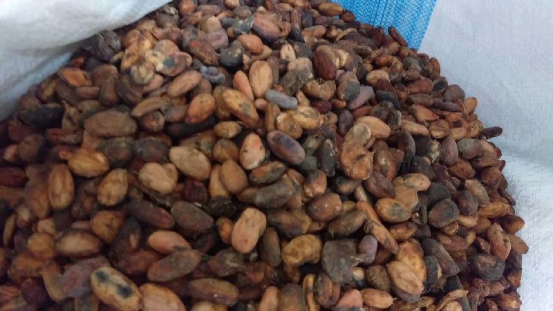 Cocoa Beans, for Bakery Products, Cosmetics, Etc, Packaging Type : 10kg, 15kg