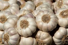 Organic fresh garlic, Feature : Gluten Free, Moisture Proof