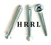 Round Head Self Tapping Screw