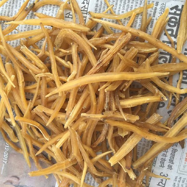 Yellow shatavari roots, Style : Dried