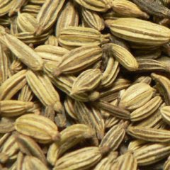 Anise Seeds, Color : Brown