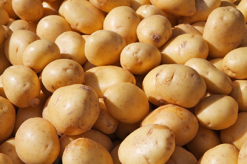  Common fresh potato