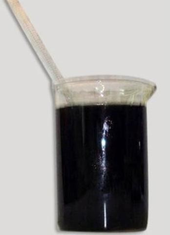 Cashew Nut Shell Oil