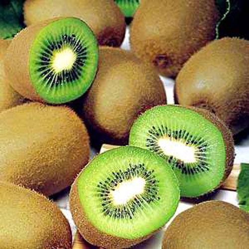 fresh kiwi