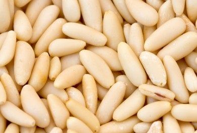 Pine Nut Kernel