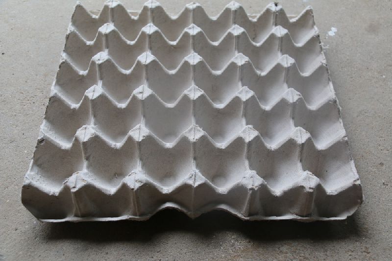 Egg Crate Paper Tray