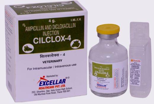 Ampicillin and Dicloxacillin Injection