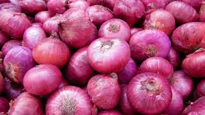 Organic fresh red onion, Certification : FSSAI Certified