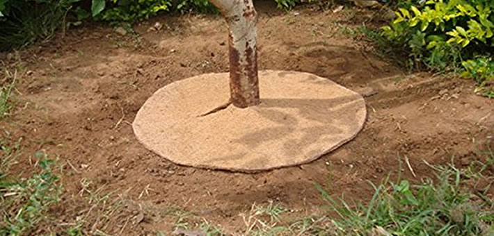 Coco Peat Tree Mat