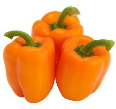 Orange Bell Pepper, Packaging Type : 5-10kg