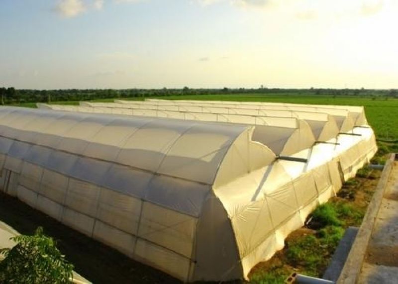 greenhouses regulate temperature