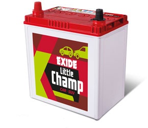 Exide Little Champ batteries