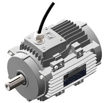 High Temperature Motors