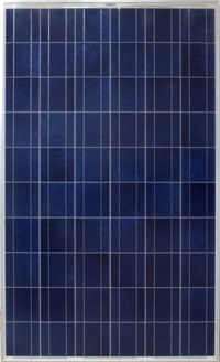 Solar PV Module