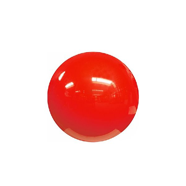 Physioball-55 cm