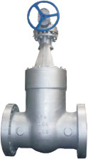 Pressure Seal Valve