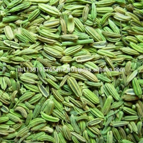 Raw Fennel Seed, Color : Green