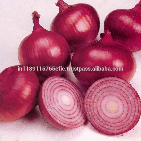 Onion, Shape : Round