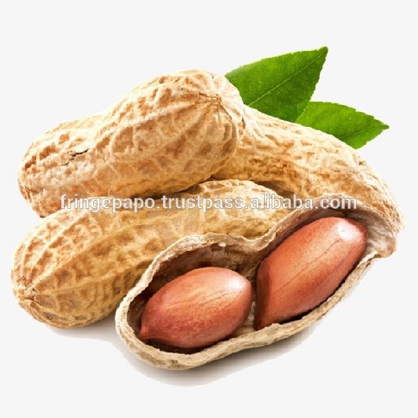 Raw Peanut Kernel, for Snack, Style : Dried
